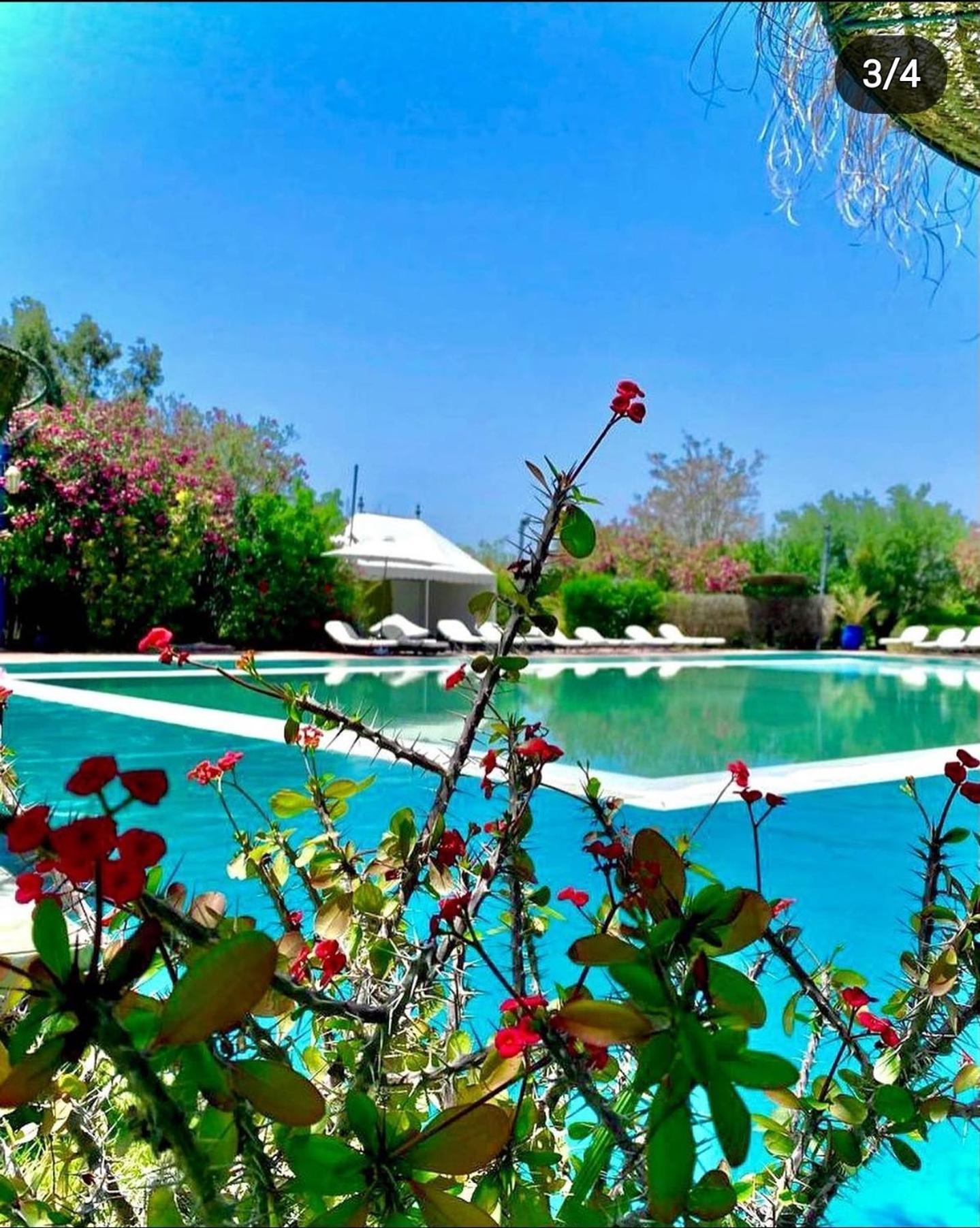 Les Jardins D Isis Hotel มาร์ราเกช ภายนอก รูปภาพ
